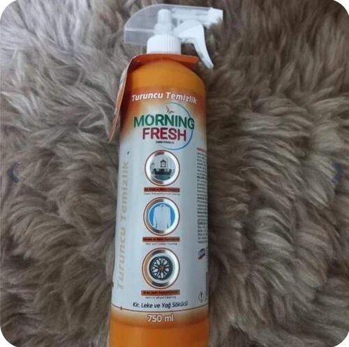 اسپری چند منظوره پاک کننده سطوح Morning Fresh حجم 750 میل